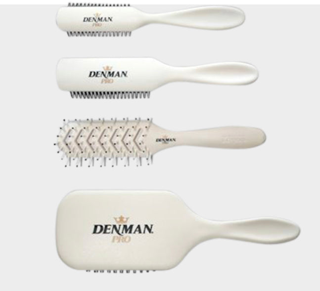 Denman Pro Starter Kit (Blowdry Brushes)