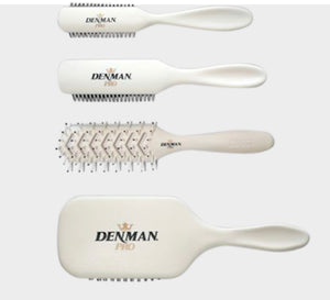 Denman Pro Starter Kit (Blowdry Brushes)
